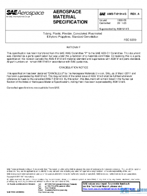 SAE AMST81914/3A PDF