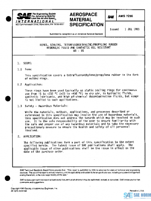 SAE AMS7256 PDF