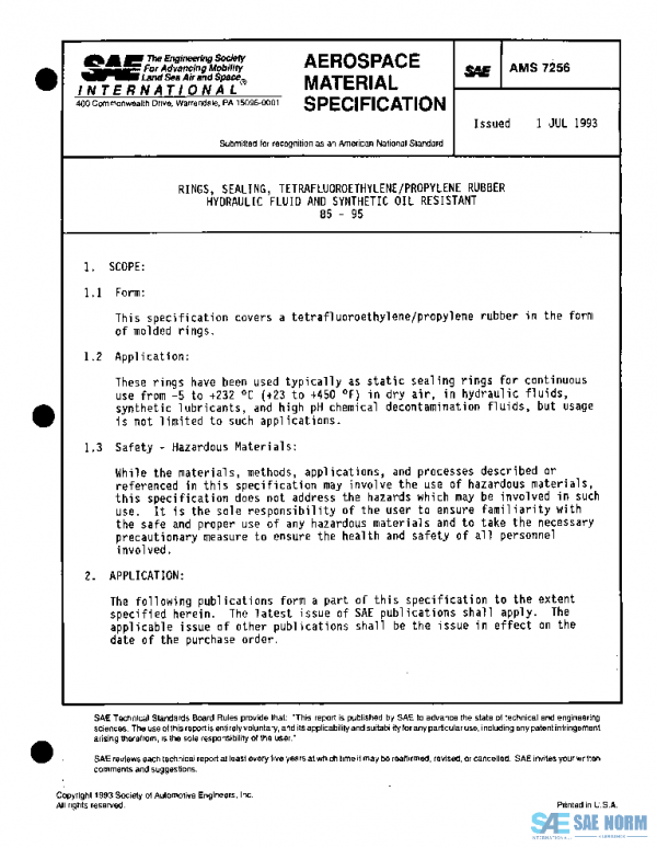 SAE AMS7256 PDF