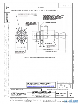 SAE AS24334B PDF