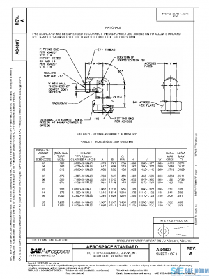 SAE AS4807A PDF