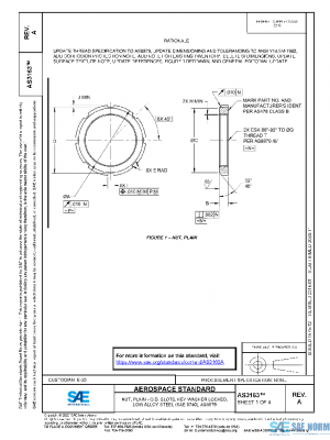 SAE AS3163A PDF