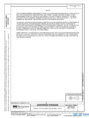 SAE AS116101 PDF