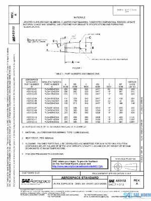 SAE AS3132A PDF