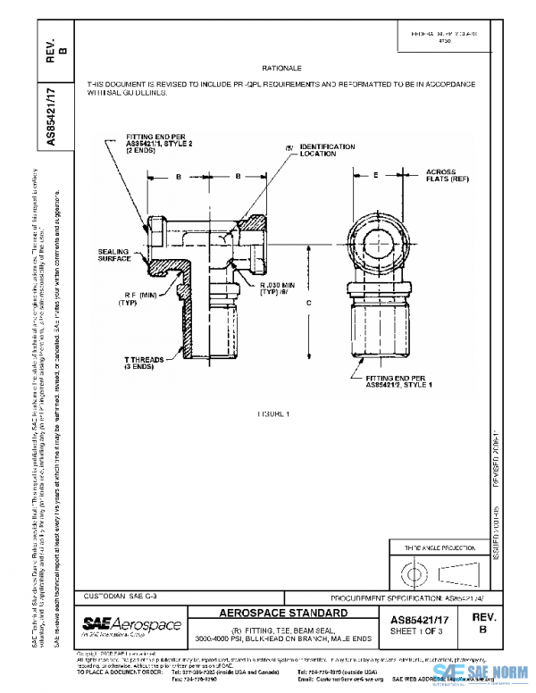 SAE AS85421/17B PDF