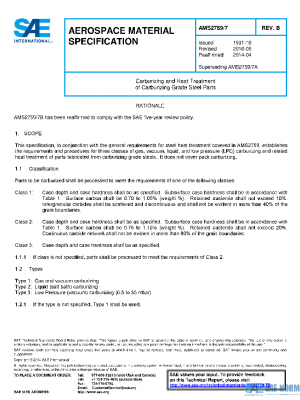 SAE AMS2759/7B PDF