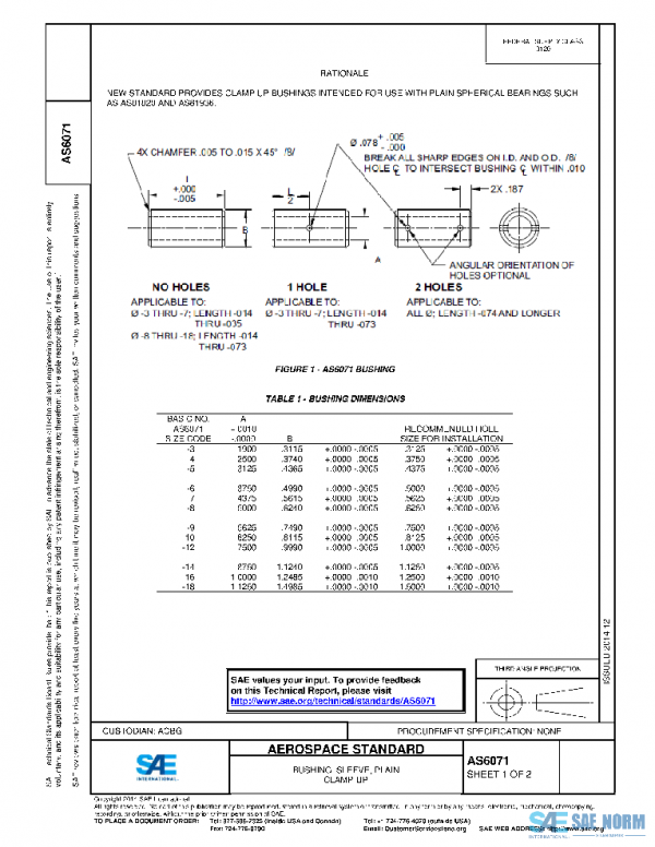 SAE AS6071 PDF