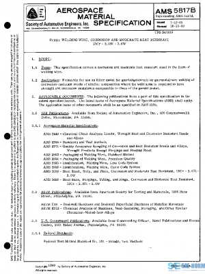 SAE AMS5817B PDF