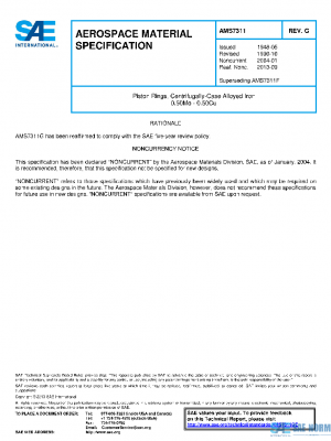 SAE AMS7311G PDF