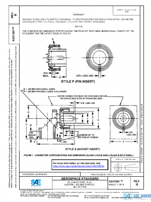 SAE AS31081B PDF