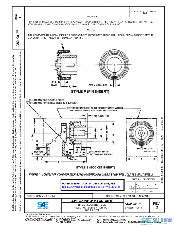SAE AS31081B PDF