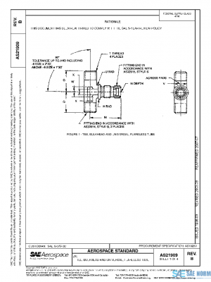 SAE AS21909B PDF