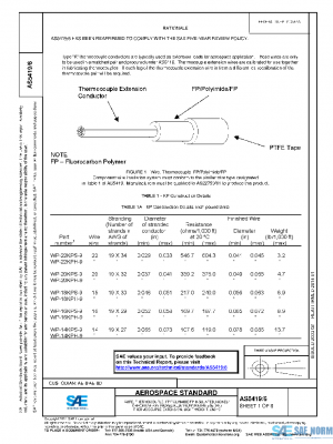 SAE AS5419/6 PDF
