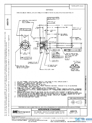 SAE AS3173 PDF