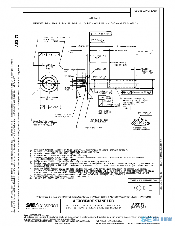 SAE AS3173 PDF