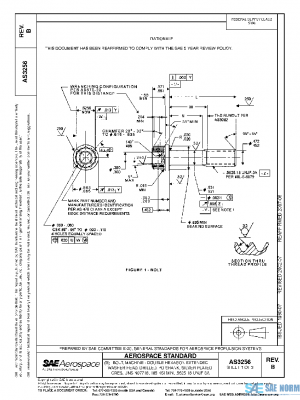 SAE AS3256B PDF