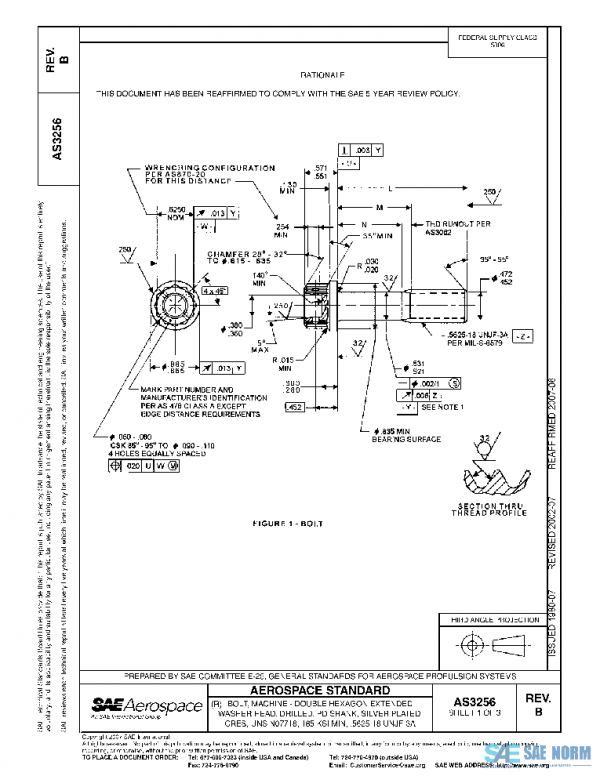 SAE AS3256B PDF