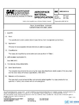 SAE AMS3813/1A PDF