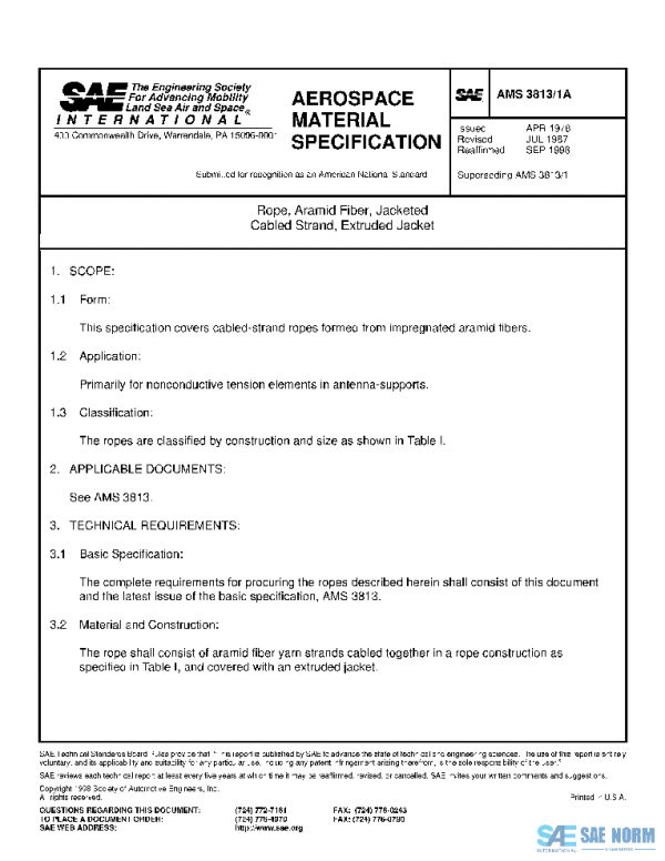 SAE AMS3813/1A PDF