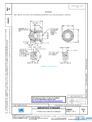 SAE AS5231B PDF