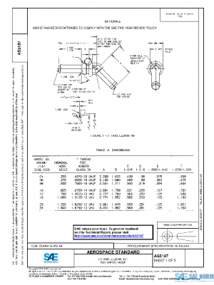 SAE AS5187 PDF