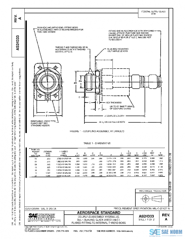 SAE AS24333A PDF