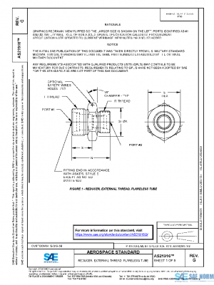 SAE AS21916G PDF