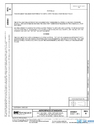 SAE AS9451B PDF