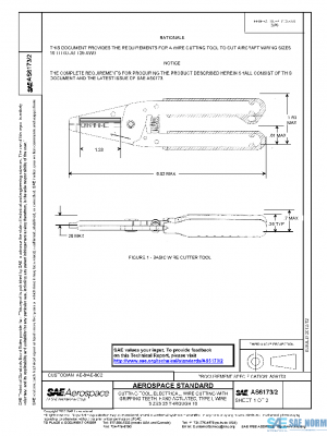 SAE AS6173/2 PDF