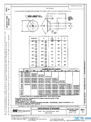 SAE AS125101A PDF