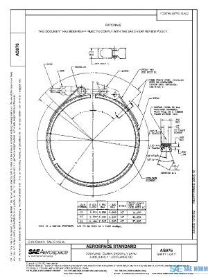 SAE AS976 PDF