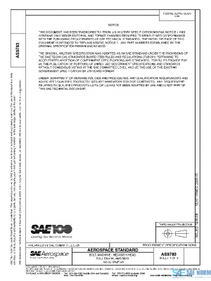 SAE AS9783 PDF