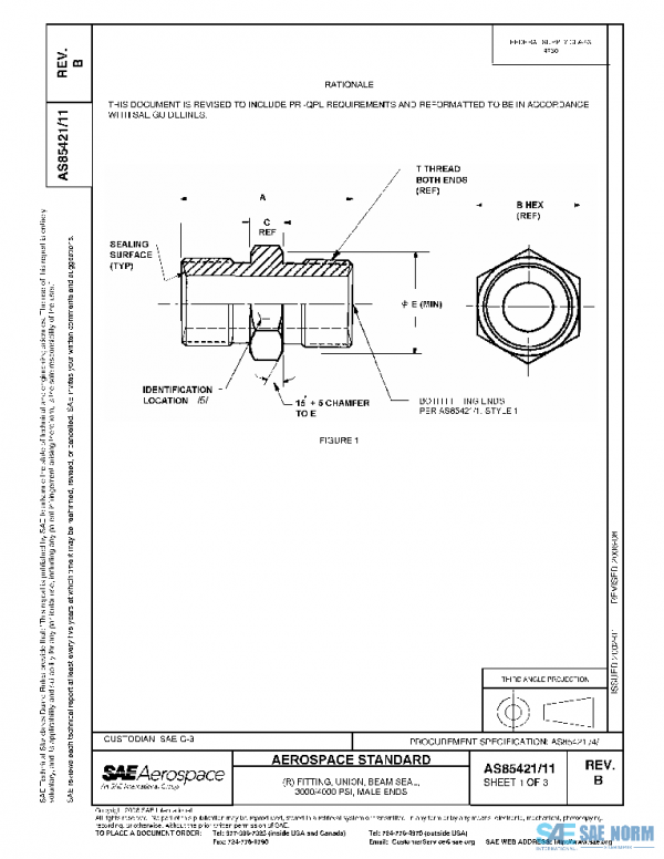 SAE AS85421/11B PDF