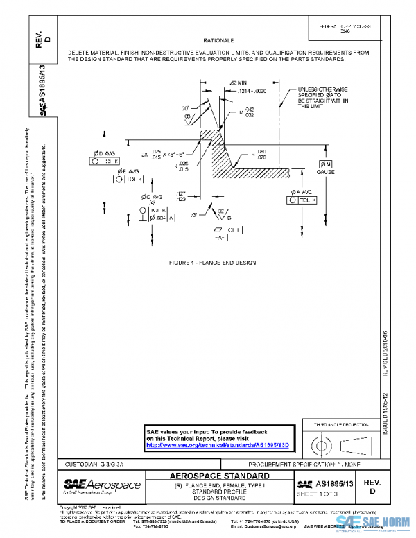 SAE AS1895/13D PDF
