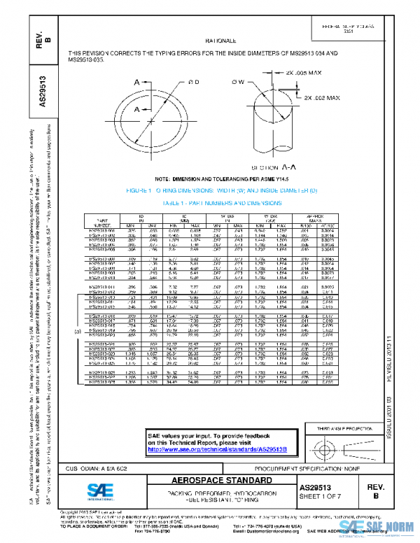 SAE AS29513B PDF