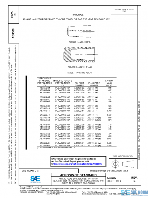 SAE AS3589B PDF