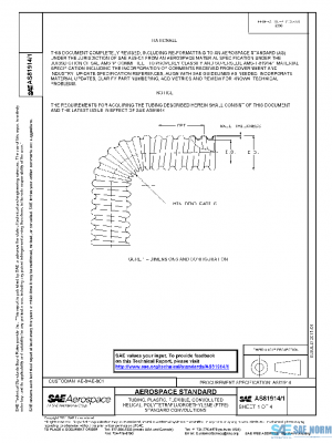 SAE AS81914/1 PDF
