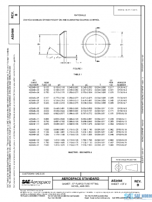 SAE AS3484B PDF