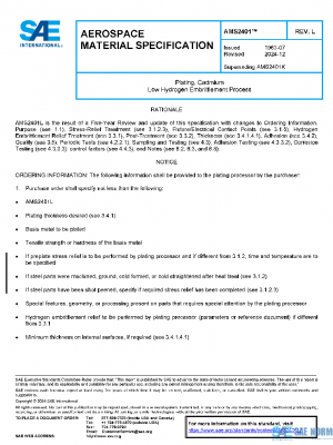 SAE AMS2401L PDF