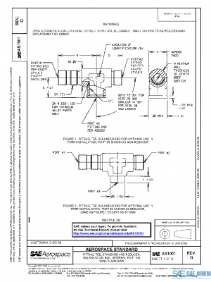 SAE AS1001G PDF