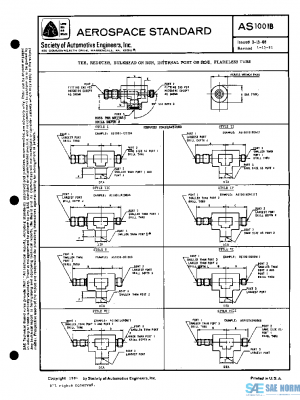 SAE AS1001B PDF