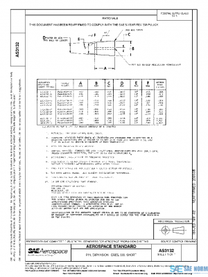 SAE AS3132 PDF