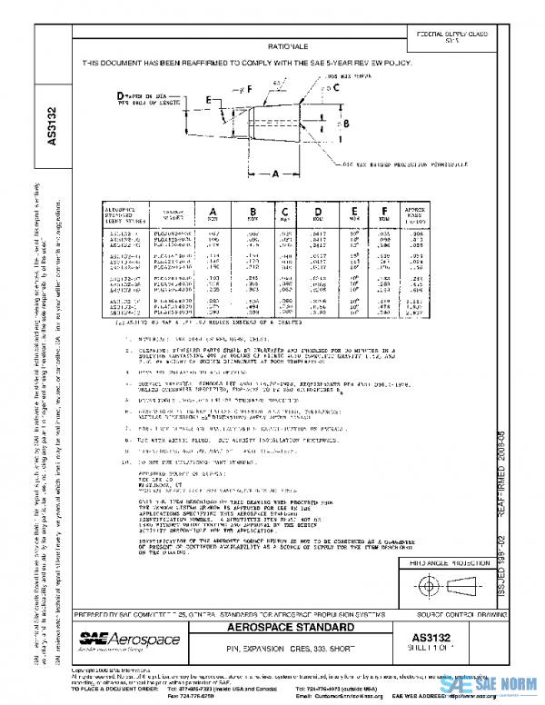 SAE AS3132 PDF