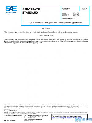 SAE AS6021A PDF