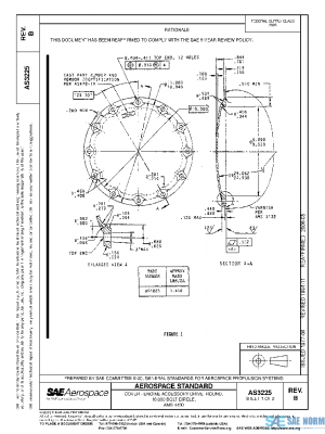 SAE AS3225B PDF
