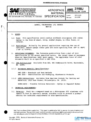 SAE AMS3198J PDF
