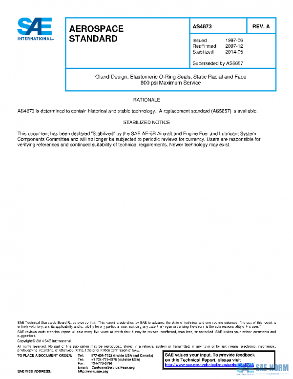 SAE AS4873A PDF