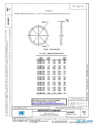 SAE AS1895/7C PDF