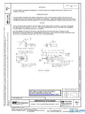 SAE AS116961C PDF
