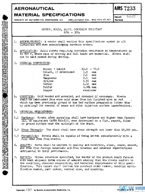 SAE AMS7233 PDF